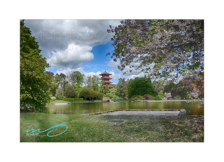 花見 Hanami at the Royal Gardens