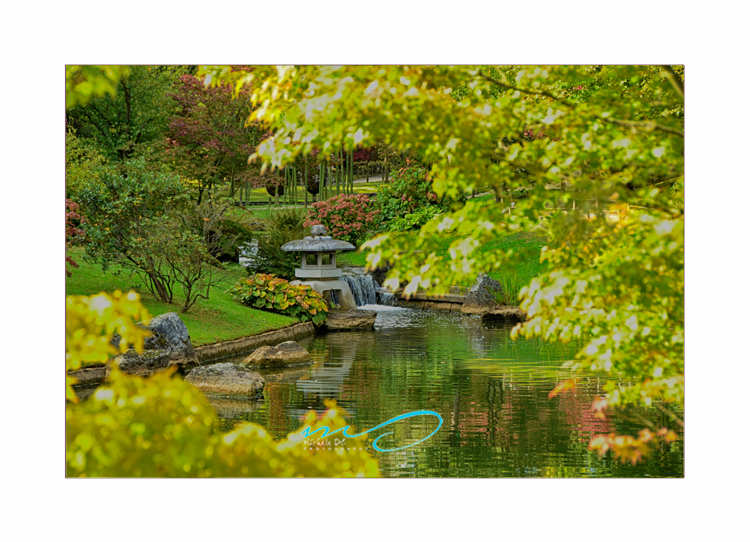 Japanese Gardens Hasselt