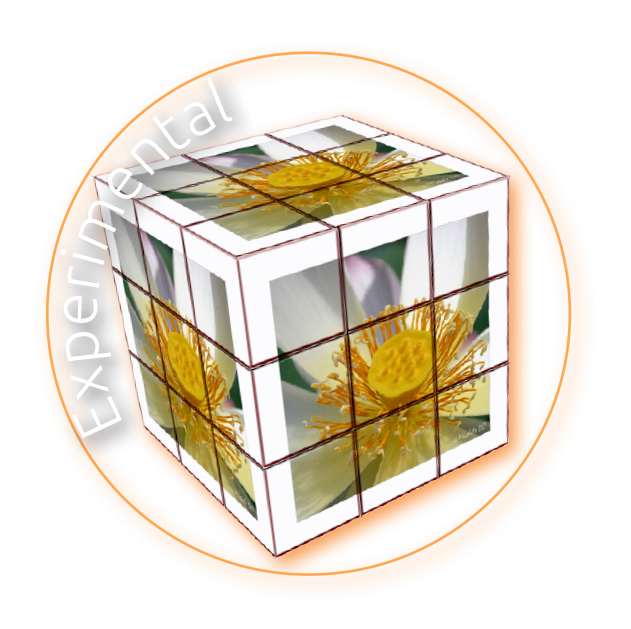 Lien vers la Galerie Experimental I Michèle DC