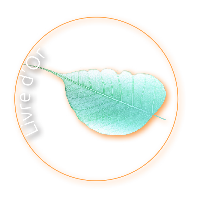 Livre d'Or Logo I Michèle DC