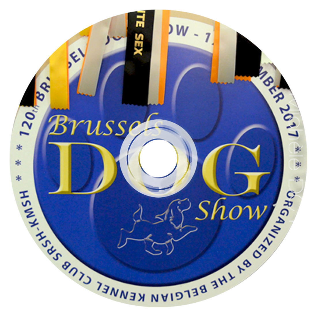 MyLlywood I Brussels Dog Show 2017, Saint-Bernards